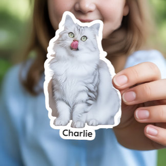 Aangepaste foto Stickers | Gepersonaliseerde Vinyl