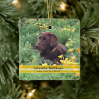 Aangepaste foto van Chocolate Lab Flower