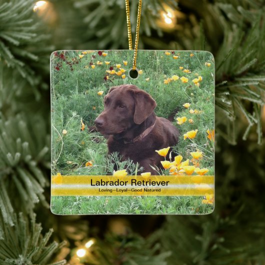 Aangepaste foto van Chocolate Lab Flower Keramisch Ornament (Boom)