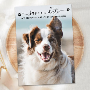 Aangepaste foto van de Dog Wedding Pet waarop de d Save The Date