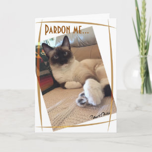 Aangepaste foto van een knappe Siamese kitten op c Kaart