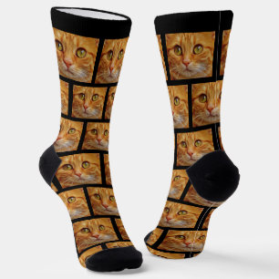 Aangepaste foto van een oranje tabby kat op zwarte sokken