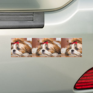 Aangepaste foto van je hond van een huisdier bumpersticker