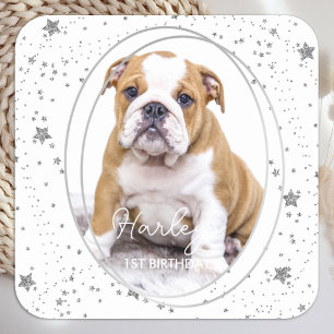 Aangepaste foto van Pet Dog Birthday Silver Glitte Vierkante Sticker