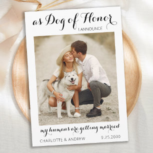 Aangepaste foto van Pet Dog Modern Script Weddensc Save The Date
