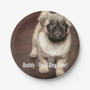 Aangepaste foto van Pug Dog en uw Pug Dog Naam Papieren Bordje