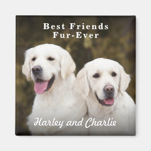 Aangepaste foto van twee honden als beste vrienden magneet