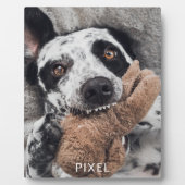 Aangepaste foto voor honden fotoplaat (Voorkant)