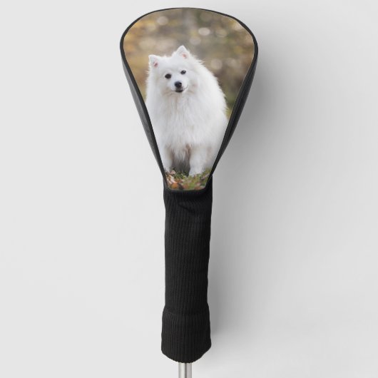 Aangepaste foto voor honden golfheadcover (Voorkant)