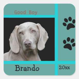 Aangepaste foto voor honden vierkante sticker