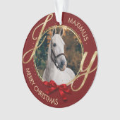 Aangepaste foto voor paardennamen ornament (voorkant)