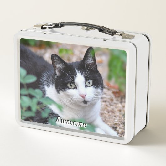 Aangepaste foto voor zwart-wit Tuxedo Cat (Achterkant)
