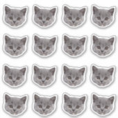 Aangepaste foto waterdichte vinyl Stickers (Voorkant)