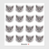 Aangepaste foto waterdichte vinyl Stickers (Vel)