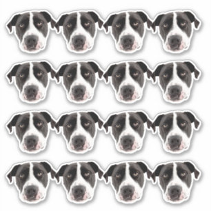 Aangepaste foto waterdichte vinyl Stickers