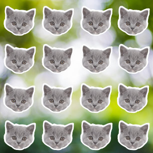 Aangepaste foto waterdichte vinyl Stickers