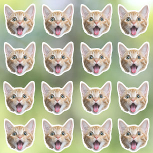 Aangepaste foto waterdichte vinyl Stickers