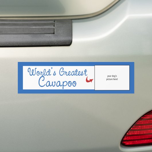 Aangepaste foto! Wereld grootste Cavapoo Bumpersticker (Op auto)