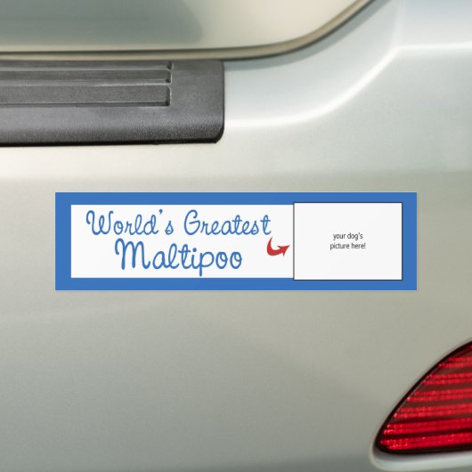 Aangepaste foto! Wereld grootste Maltipoo Bumpersticker (Op auto)