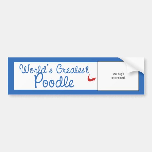 Aangepaste foto! Wereld het grootste podium Bumpersticker (Voorkant)