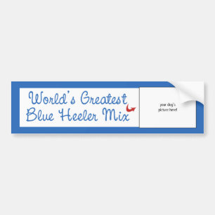 Aangepaste foto! Werelds Beste Blue Heeler Mix Bumpersticker