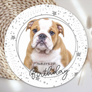 Aangepaste foto Zilver Glitter Stars Dog Birthday Ronde Kartonnen Onderzetter