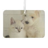 Aangepaste fotoauto luchtverfrisser (Achterkant)