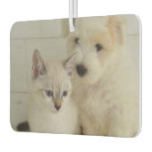 Aangepaste fotoauto luchtverfrisser (Links)