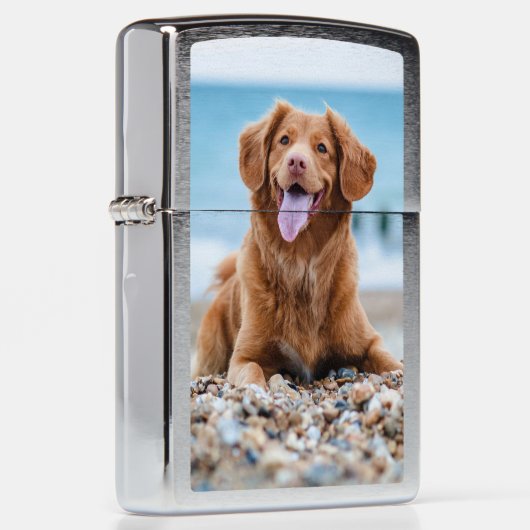 Aangepaste fotodog (Rechts)