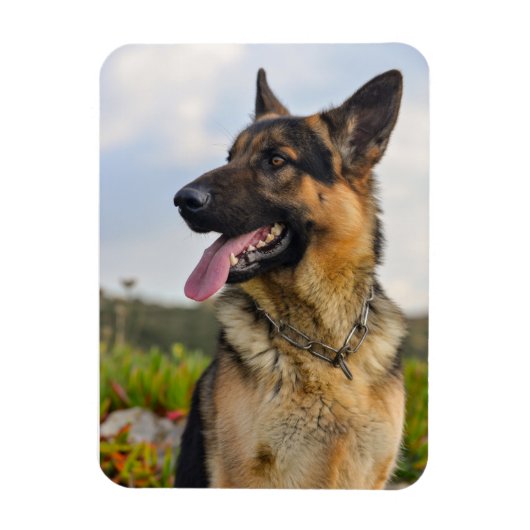 Aangepaste fotokoelkast Magnet Magneet (Verticaal)