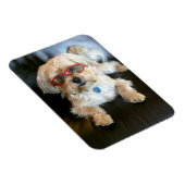 Aangepaste fotokoelkast Magnet Magneet (Rechterzijde)