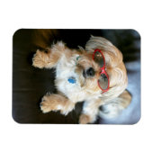 Aangepaste fotokoelkast Magnet Magneet (Horizontaal)