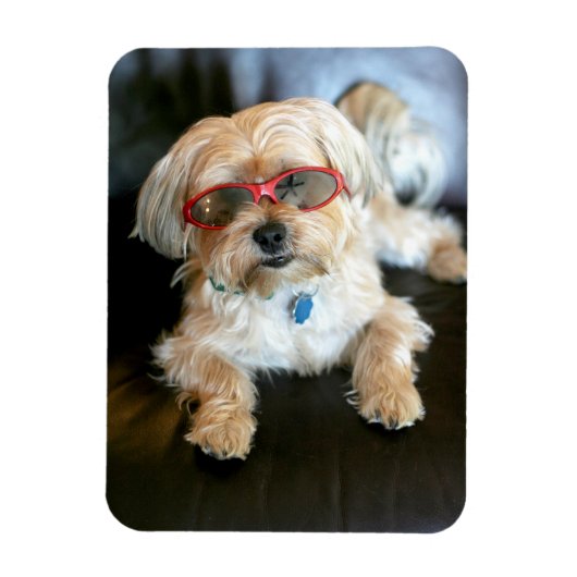 Aangepaste fotokoelkast Magnet Magneet (Verticaal)