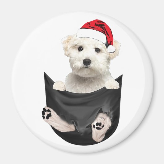 Aangepaste fotokoelkast Magnet | Pet Magnet Magneet (Voorkant)