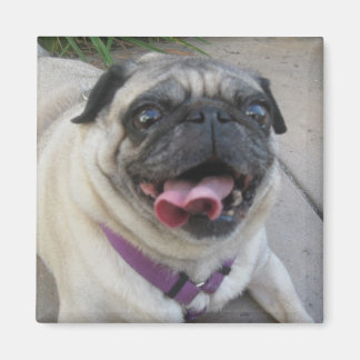 Aangepaste fotomagneten magneet