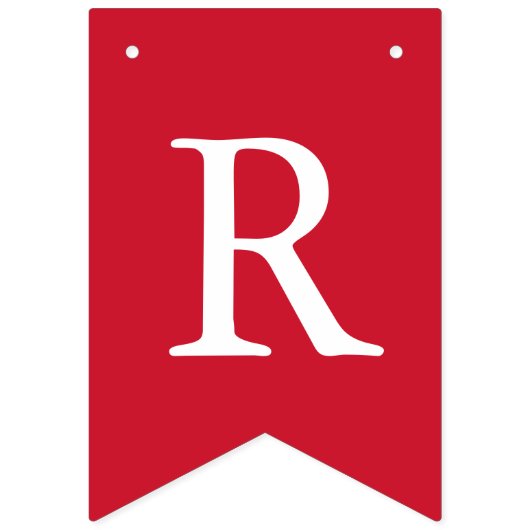 Aangepaste foto's rood wit blauw Afstuderen Vlaggetjes (Derde vlag)