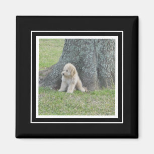 Aangepaste fotosjabloon Echte zwart-wit afbeelding Magneet