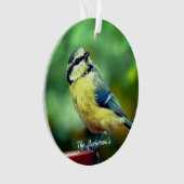 Aangepaste geel=borstvogel foto gepersonaliseerd ornament (voorkant)