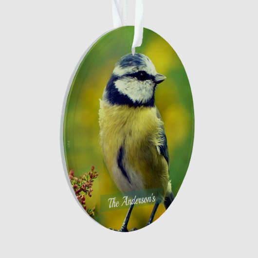 Aangepaste Geel-breasted Blue Chat Foto Ornament (voorkant)