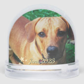 Aangepaste Gepersonaliseerde Foto Pet Memorial Sneeuwbol (Achterkant)