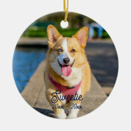 Aangepaste gepersonaliseerde herdenking kat hond f keramisch ornament