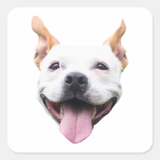 Aangepaste Gezicht Sticker, Gepersonaliseerd Honde Vierkante Sticker (Voorkant)