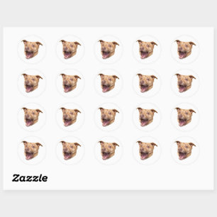 Aangepaste Gezicht Stickers Gepersonaliseerde Gezi