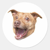 Aangepaste Gezicht Stickers Gepersonaliseerde Gezi (Voorkant)