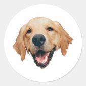 Aangepaste Gezicht Stickers Gepersonaliseerde Gezi (Voorkant)