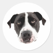 Aangepaste Gezicht Stickers Gepersonaliseerde Gezi (Voorkant)