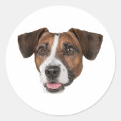 Aangepaste Gezicht Stickers Gepersonaliseerde Gezi (Voorkant)