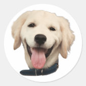 Aangepaste Gezicht Stickers Gepersonaliseerde Hond (Voorkant)