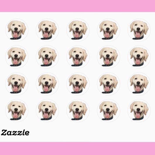 Aangepaste Gezicht Stickers Gepersonaliseerde Hond