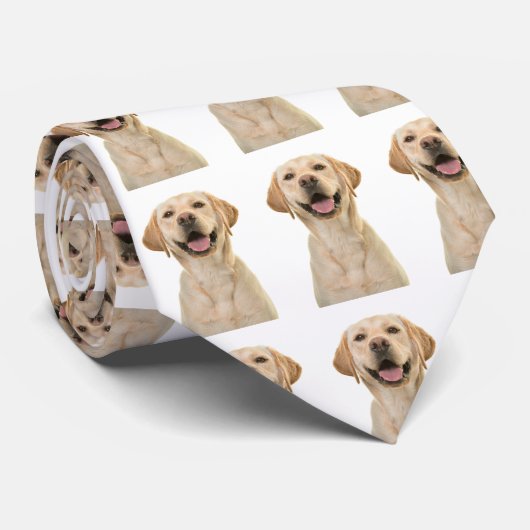 Aangepaste gezicht stropdas, aangepaste huisdier g stropdas (Opgerold)